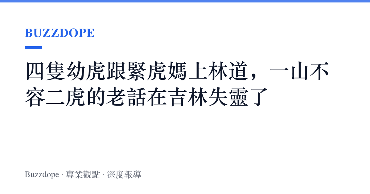 四隻幼虎跟緊虎媽上林道，一山不容二虎的老話在吉林失靈了