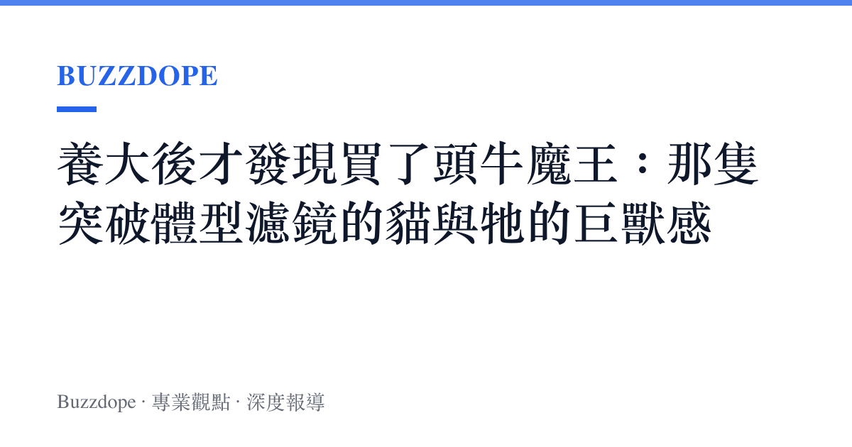 養大後才發現買了頭牛魔王：那隻突破體型濾鏡的貓與牠的巨獸感