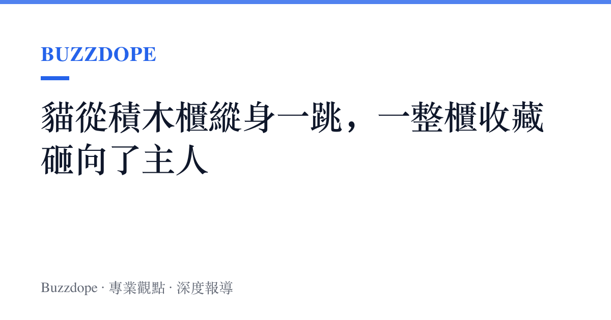 貓從積木櫃縱身一跳，一整櫃收藏砸向了主人