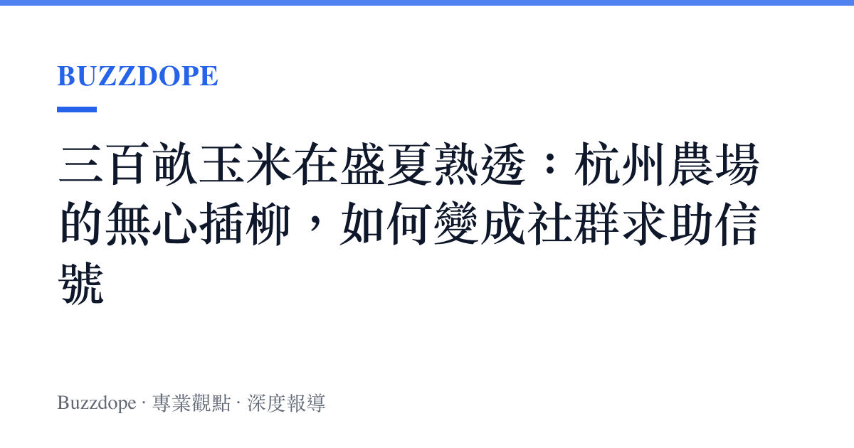 三百畝玉米在盛夏熟透：杭州農場的無心插柳，如何變成社羣求助信號