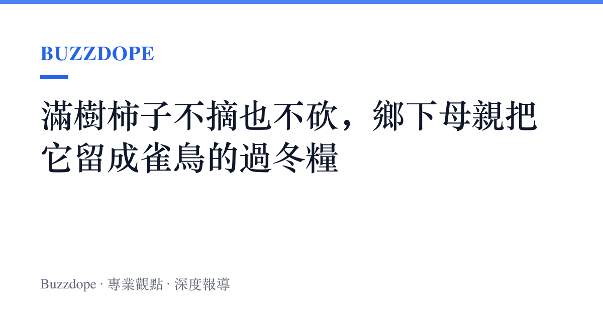 滿樹柿子不摘也不砍，鄉下母親把它留成雀鳥的過冬糧