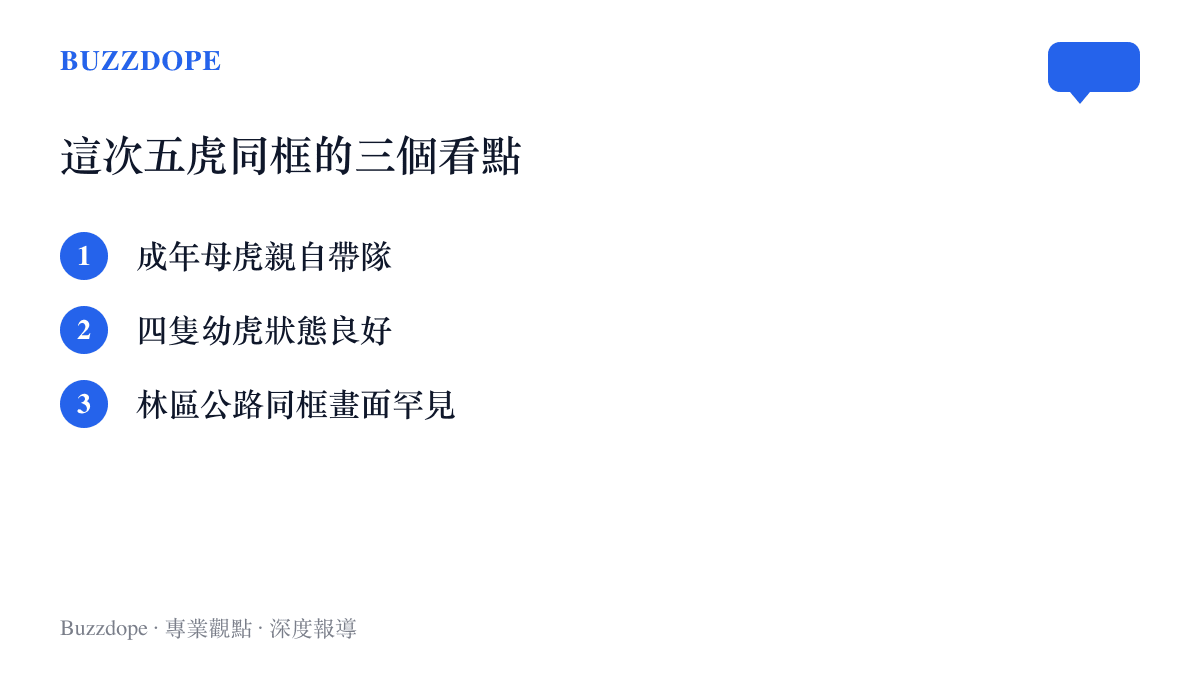清單列出吉林五虎同框畫面的三個看點：成年母虎親自帶隊、四隻幼虎狀態良好、林區公路同框畫面罕見