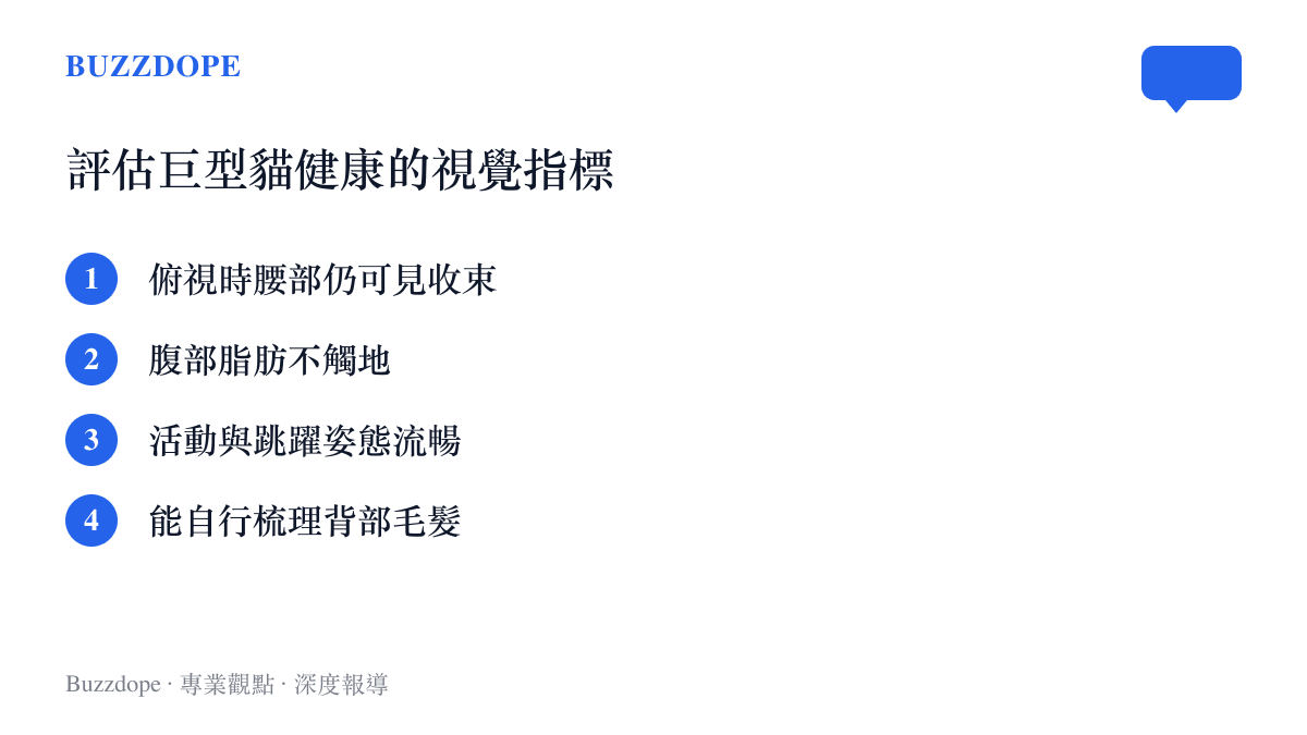 評估巨型貓健康的視覺指標
