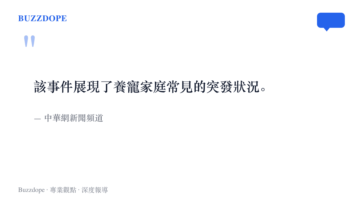 中華網新聞頻道對北京貓咪跳下積木櫃事件的報導註腳，指這類突發狀況常見於養寵家庭