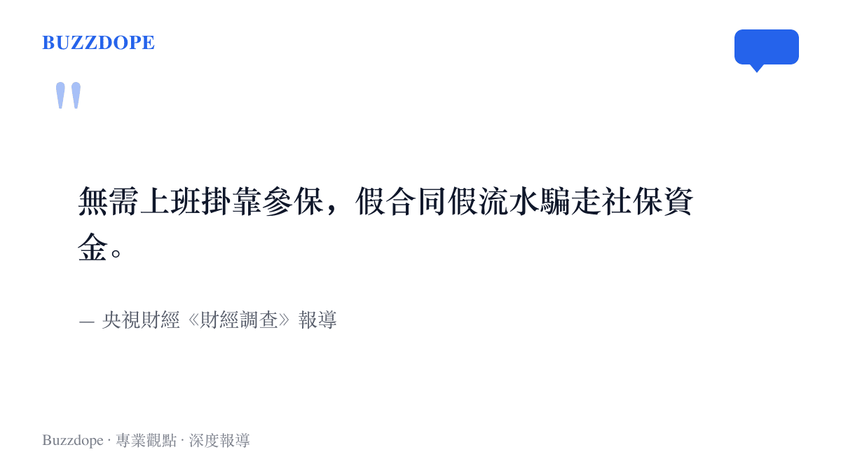 引言圖卡呈現央視財經調查報導對掛靠參保產業鏈的核心指控，指出假合同與假流水如何把社保資金騙走
