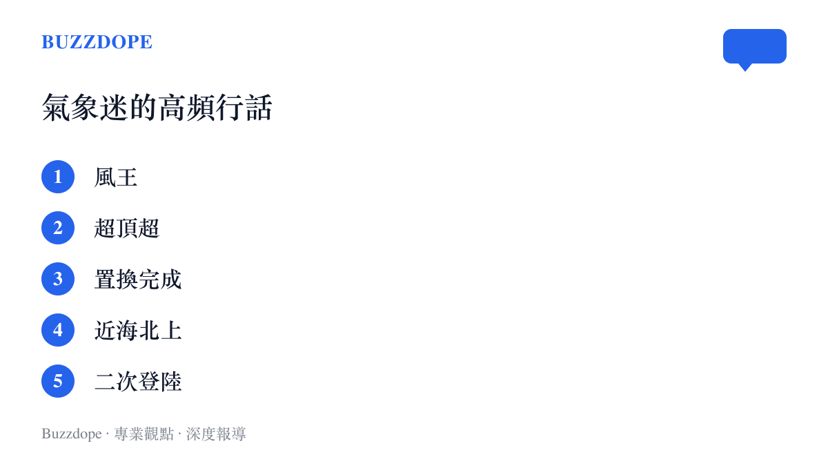 清單列出風王、超頂超、置換完成、近海北上與二次登陸五個追颱風影片裡常見的氣象迷用語