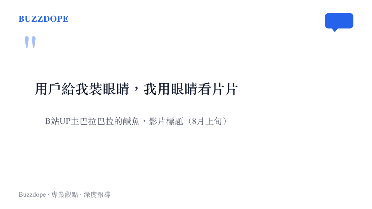 引言圖卡呈現UP主在視覺模型上線前寫下的標題文字：用戶給我裝眼睛，我用眼睛看片片