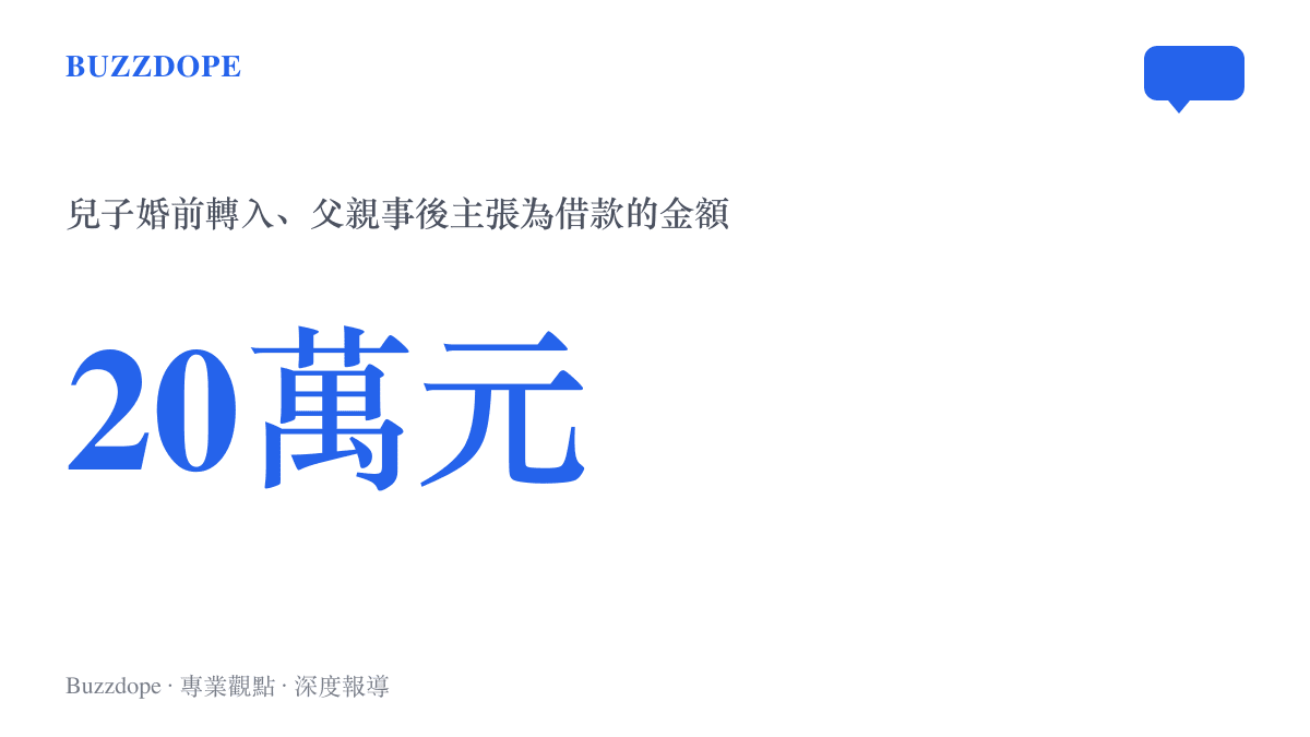 父親於兒子婚前轉出的二十萬元人民幣，幾年後被主張為借款並訴請返還，最終遭法院駁回的金額