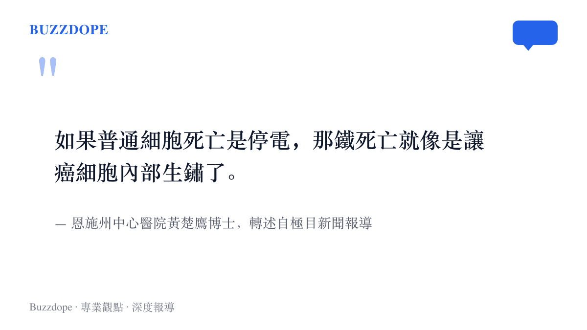 恩施州中心醫院黃楚鷹博士把鐵死亡比喻為癌細胞內部生鏽，與普通細胞死亡的停電形成對照的原文引句