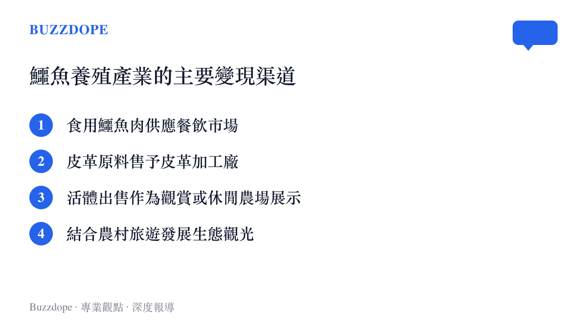 條列式清單呈現鱷魚養殖產業的四種主要商業變現管道，包含肉品、皮革、活體與觀光