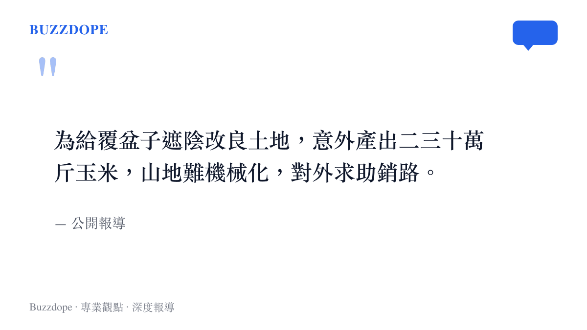 引述杭州淳安農業負責人為覆盆子套種玉米卻意外大豐收的報導內容