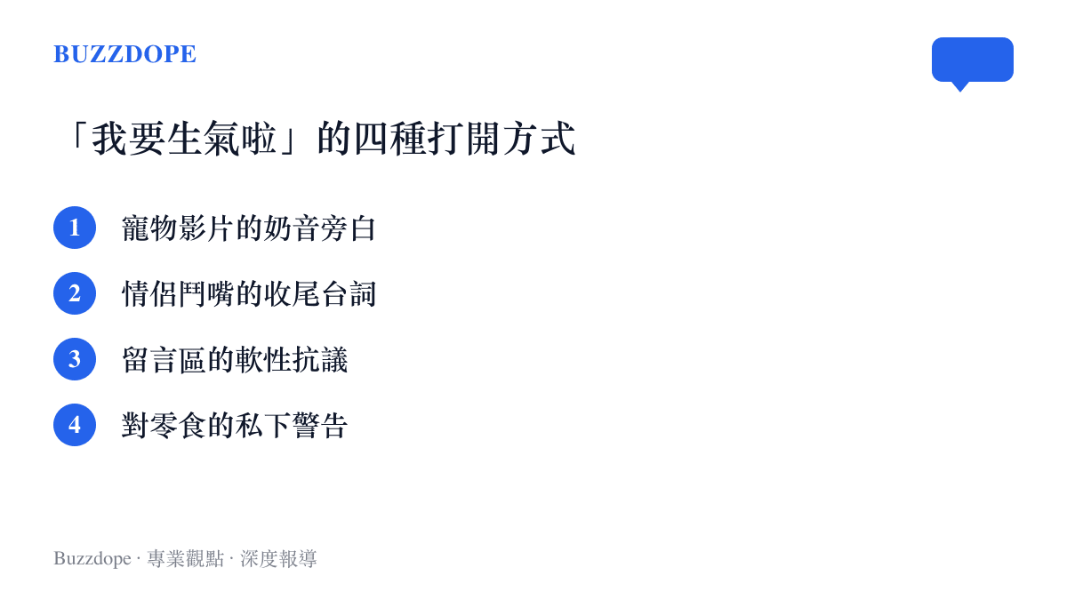 清單列出「我要生氣啦」的四種常見用法：寵物影片奶音旁白、情侶鬥嘴收尾臺詞、留言區軟性抗議，以及對零食的私下警告