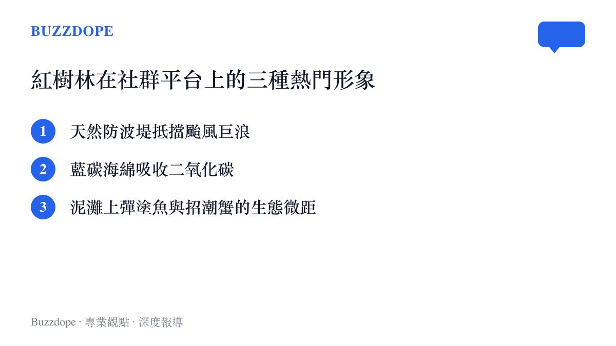 清單圖卡列舉紅樹林在社羣平臺上最常被討論的三種熱門形象