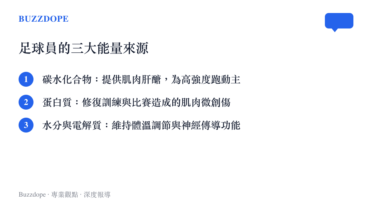 足球員的三大能量來源列表，包含碳水化合物、蛋白質以及水分與電解質
