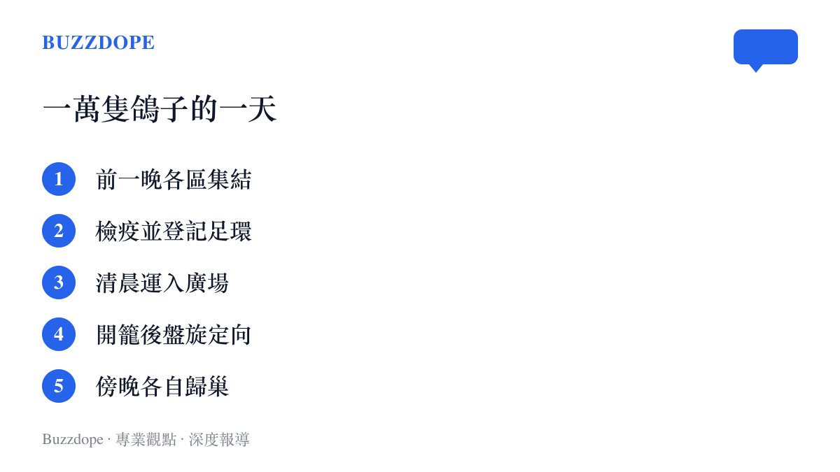 清單圖列出和平鴿從前一晚集結檢疫、足環登記、清晨運入廣場、開籠盤旋辨認方向到傍晚飛回各區鴿舍的完整行程