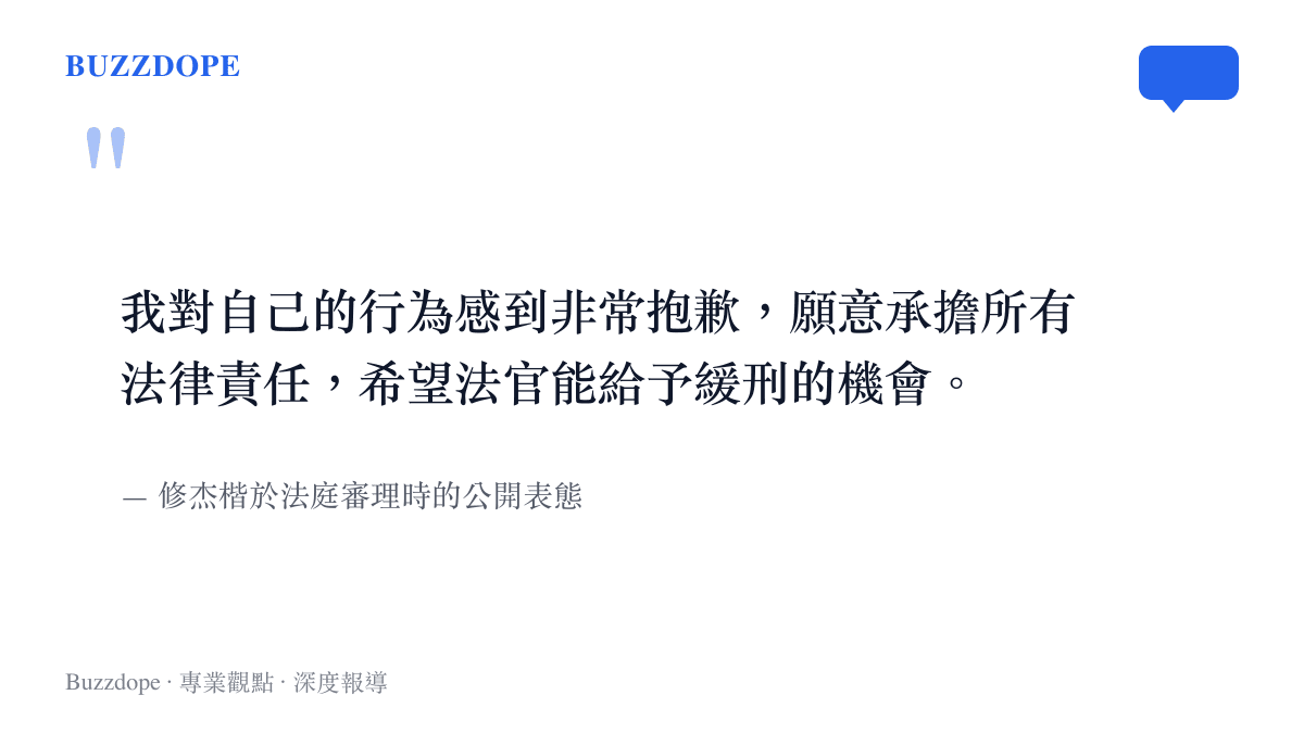 我對自己的行為感到非常抱歉，願意承擔所有法律責任，希望法官能給予緩刑的機會。