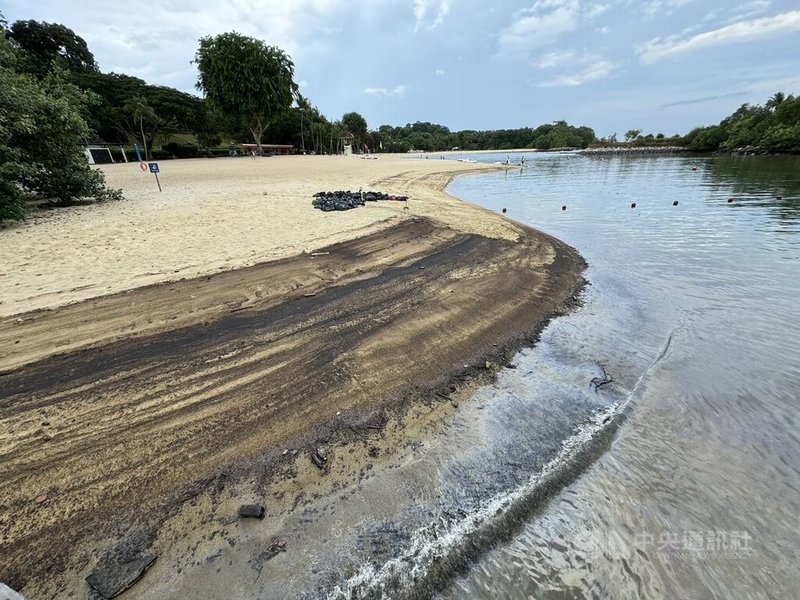 新加坡日前發生船隻事故造成油料外洩，旅遊景點聖淘沙部分海灘受到污染。中央社記者吳昇鴻新加坡攝  113年6月20日