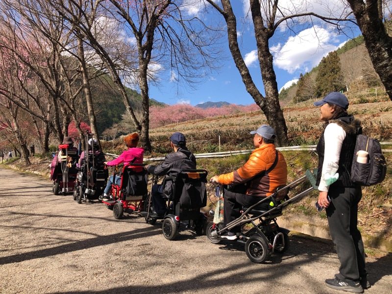 具有無障礙設施的登山步道，讓行動不便者或輪椅族也能徜徉山林。圖／多扶事業提供