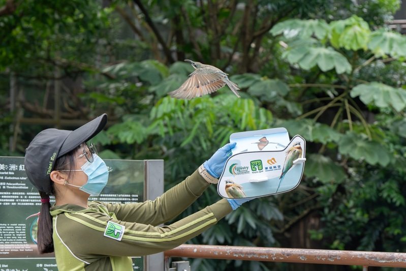 圖／台北市立動物園提供