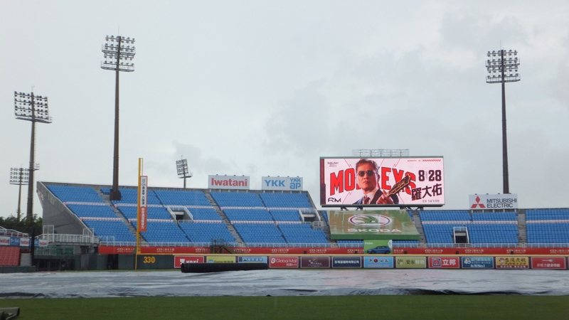 桃園球場今天因雨延賽。報系資料照