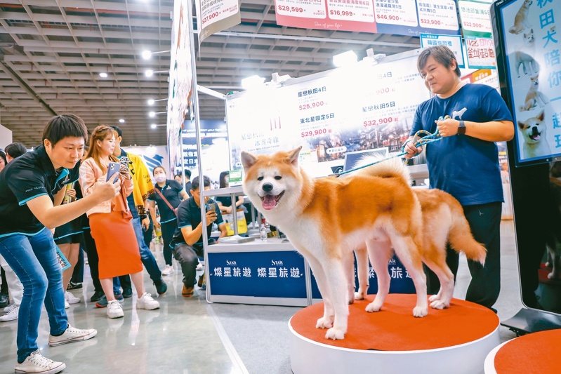 秋田犬拚觀光 台北國際旅展昨在台北南港展覽館登場，展覽現場兩隻秋田犬吸引民眾目光。記者余承翰／攝影