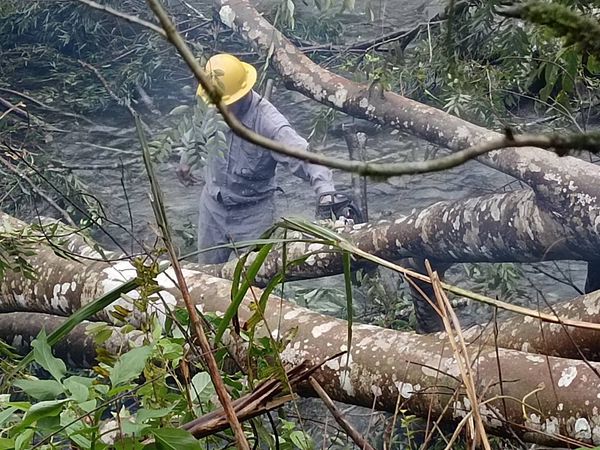 康芮颱風餘威　全台9941戶停電搶修中