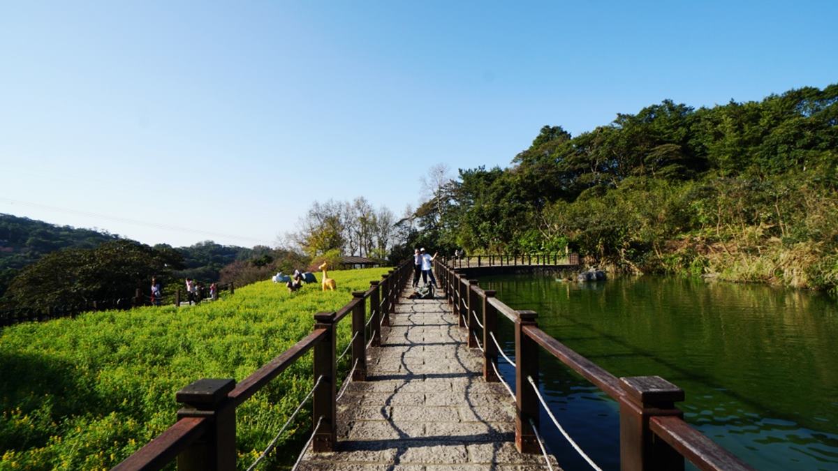 2025台北花季地圖！８條捷運賞花路線一次看，台北一日遊這樣玩