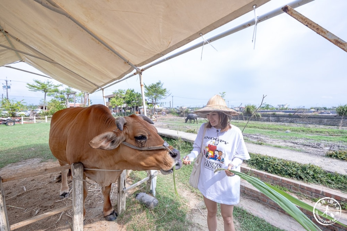 宜蘭農場推薦Top17：最新親子農場、餵食樹懶、全台首創袋鼠互動區