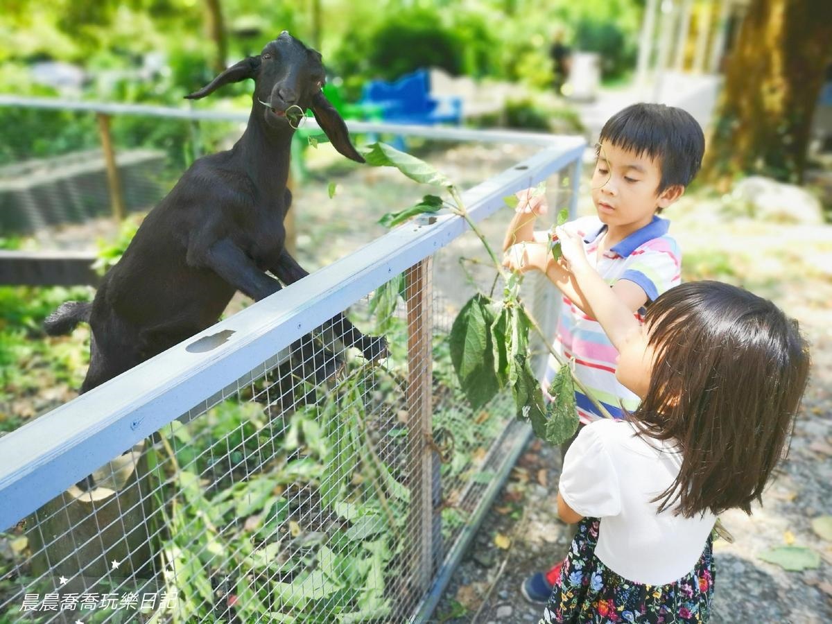 宜蘭農場推薦Top17：最新親子農場、餵食樹懶、全台首創袋鼠互動區