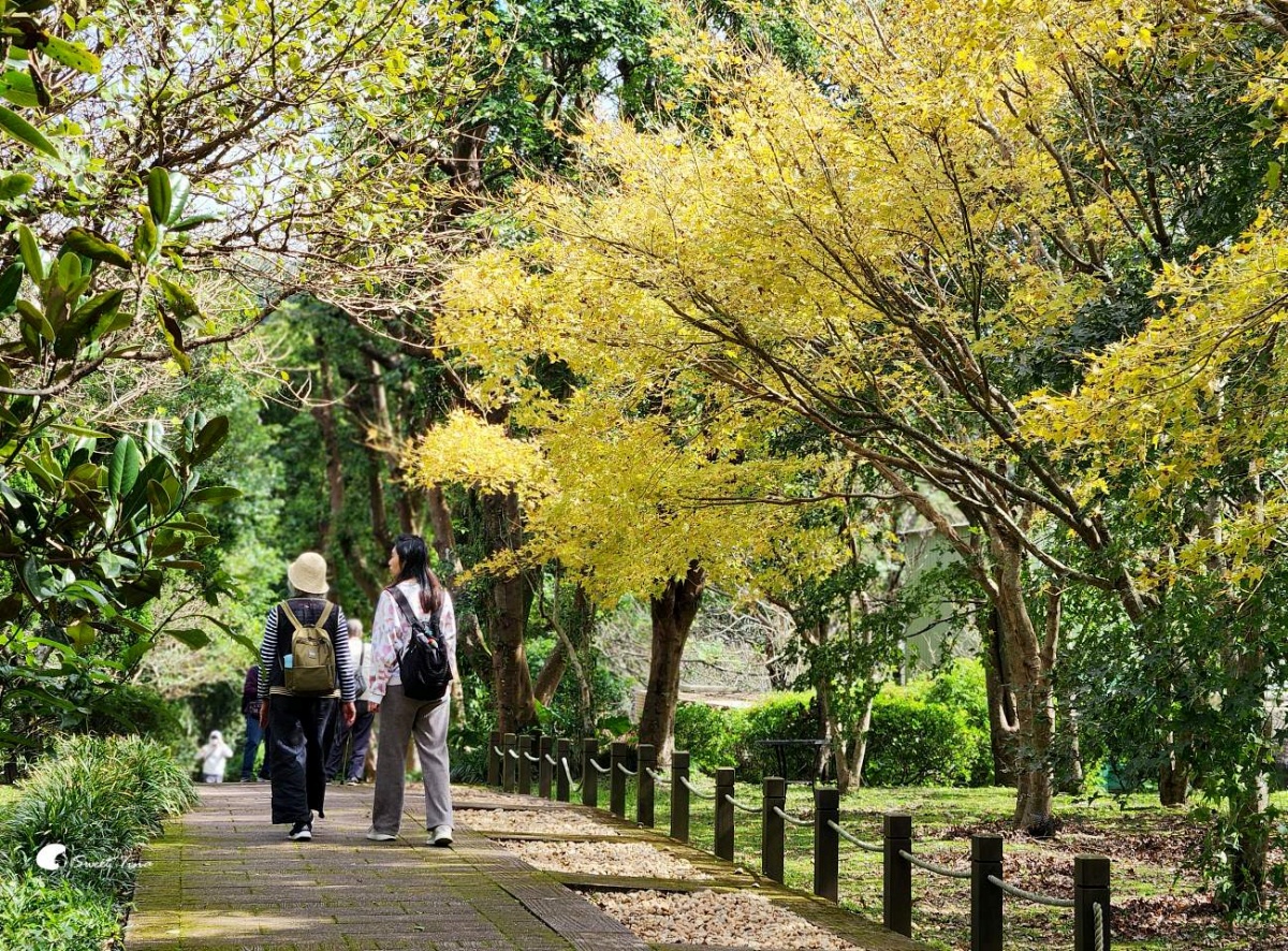 2025台北花季地圖！８條捷運賞花路線一次看，台北一日遊這樣玩