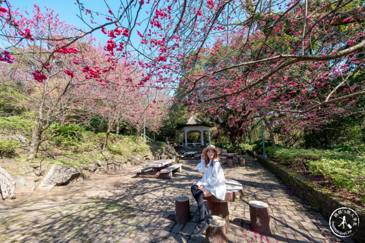 2025台北花季地圖！８條捷運賞花路線一次看，台北一日遊這樣玩