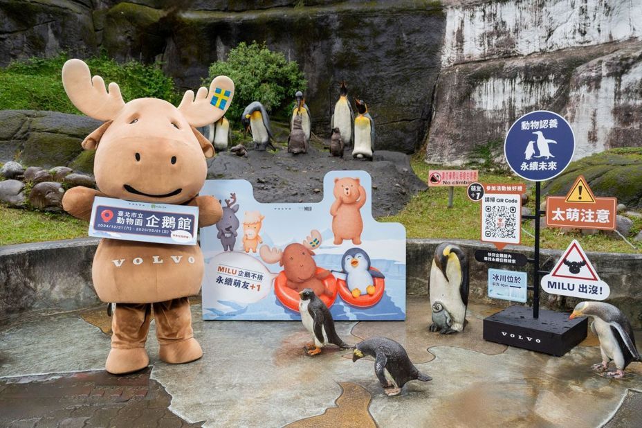 VOLVO攜台北市立動物園 打造企鵝館沉浸式永續互動展覽