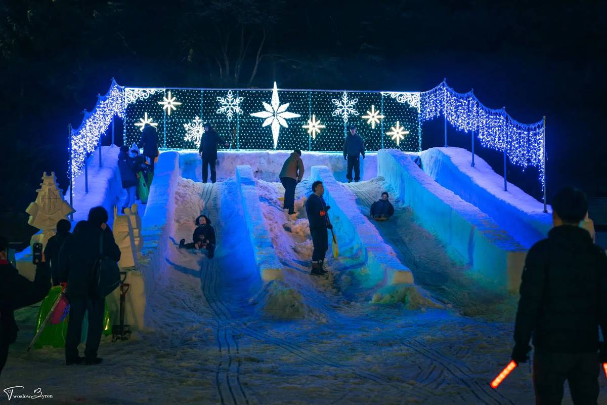 一生必看一次！夜訪百年古城「雪燈籠祭」，絕美映雪「冬之櫻」綿延兩岸