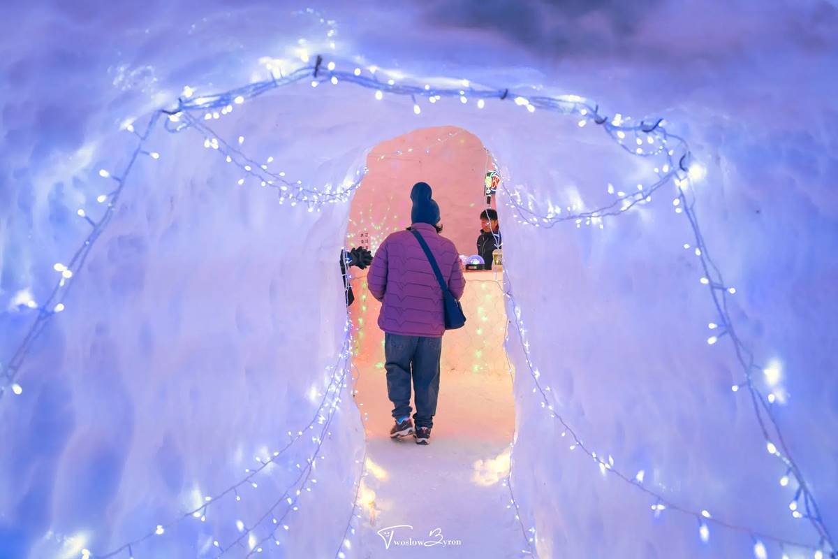 必看「冬花火」！青森最美雪祭時間公布，奇幻「雪屋酒吧」飲料杯喝完可吃掉