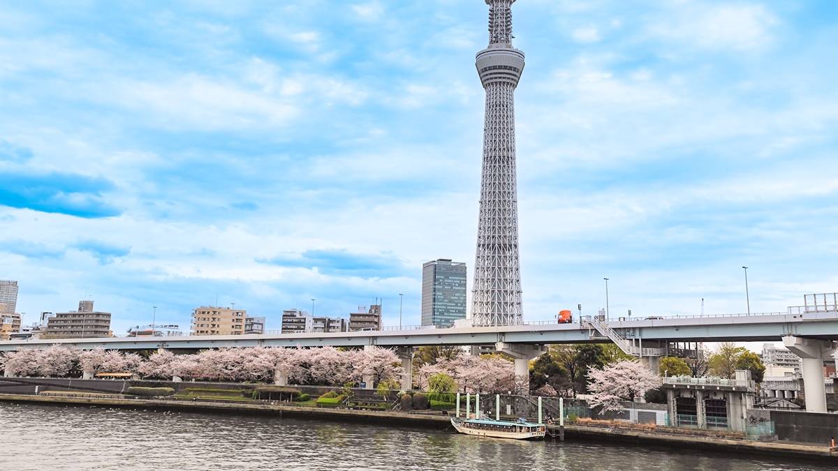 2025東京自由行必去！東京景點推薦Top 20：賞櫻、打卡、購物、親子全攻略