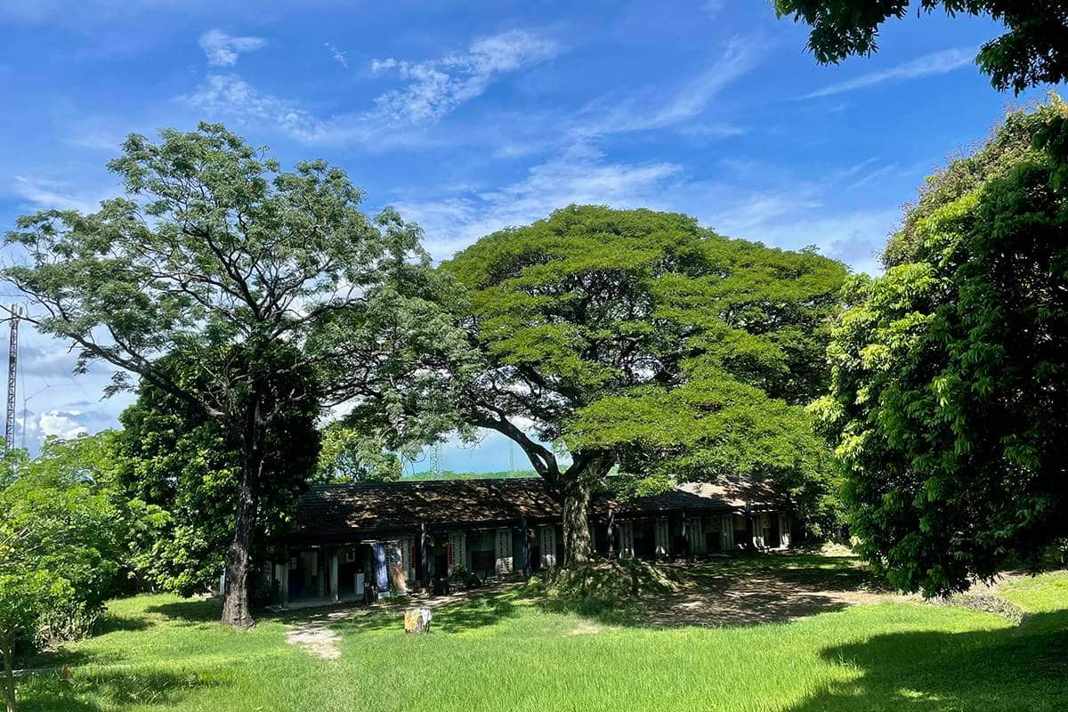 搭捷運走春去！高捷一日小旅行６景點：走逛百年老糖廠、品嘗限定酵母冰