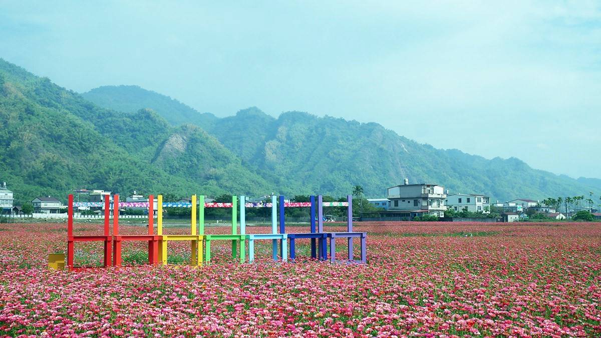 高雄走春賞花去！「2025美濃花海節」浪漫開跑，最佳賞花期、４大花海搶先看