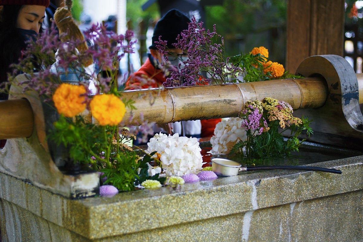 大年初四免費發福錢！桃園最美「日式神社」逛新春市集，祈福淨化儀式體驗