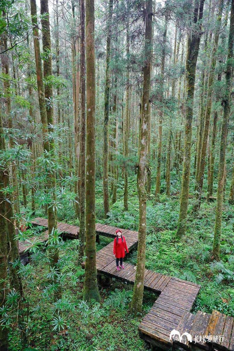 暴紅前快衝！18處戶外私房祕境：台版沖繩跨海大橋、偽日式枯山水、跳石步道