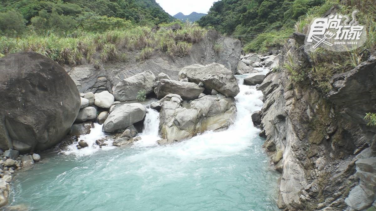 最新「阿里山櫻花花況」2025賞櫻景點攻略，阿里山賞櫻必看！