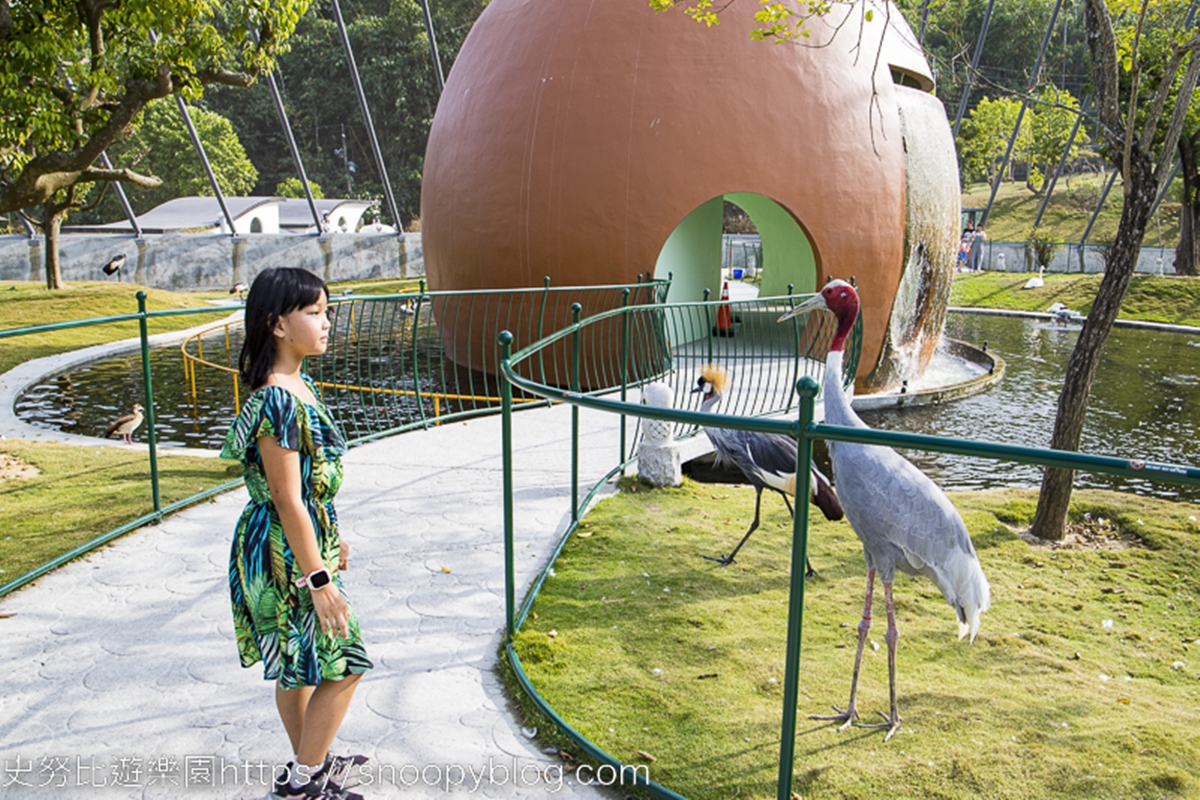 瘋玩台版「侏儸紀公園」！占地６萬坪「亞洲最大」，必拍巨大恐龍、白貓頭鷹