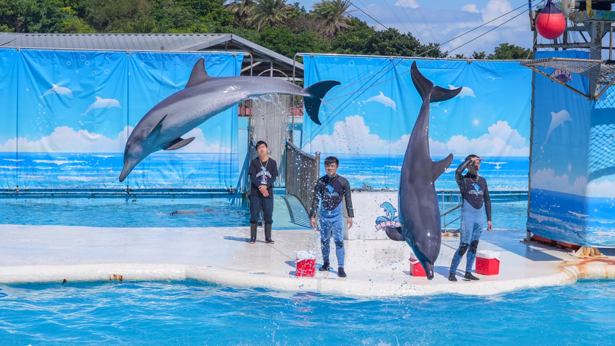 228連假省錢出遊！全台８大遊樂園、景點優惠整理：兒童免費、２人同行半價