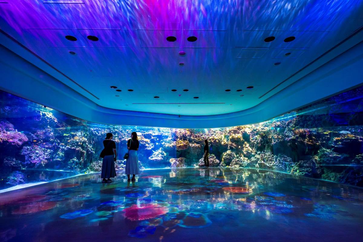 夜訪水族館美炸了！Xpark星光場「這天」開跑，入夜搶拍巨型水槽、門票８折