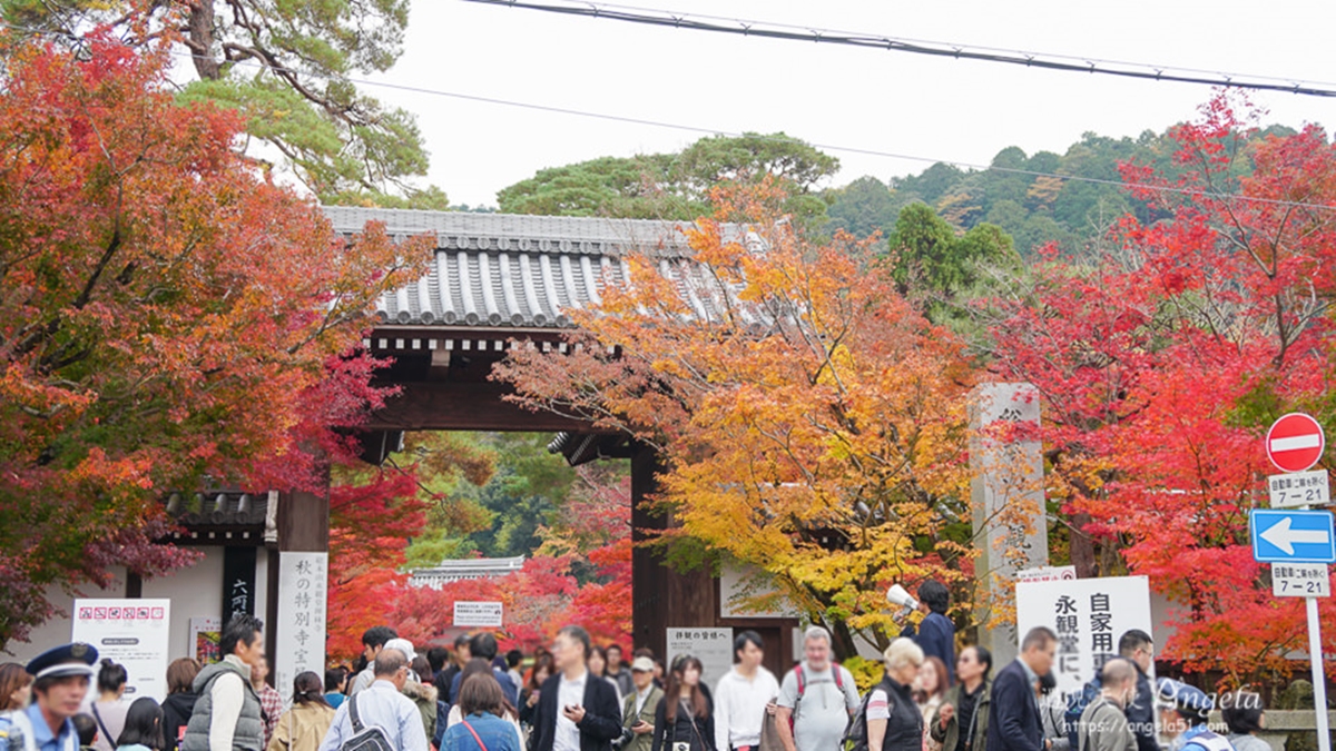 2025京都必去景點！自由行、一日遊Top 21，交通路線、美食住宿攻略