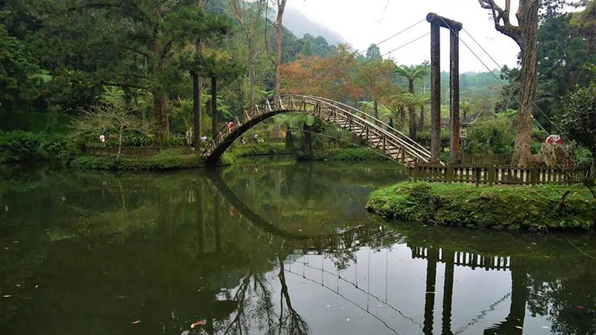 「杉林溪森林生態渡假園區」遊玩攻略：門票、花季情報、周邊景點