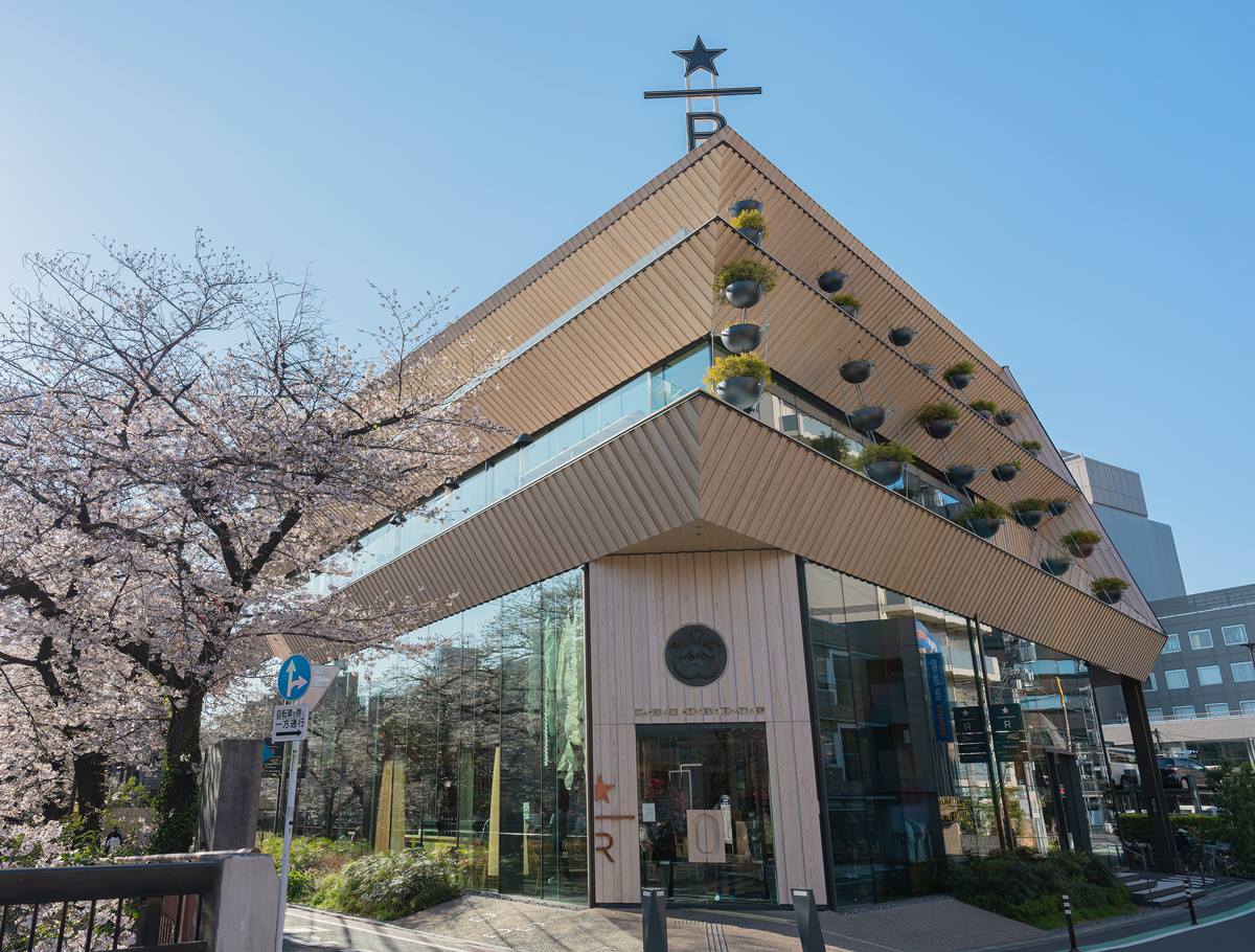 東京最美星巴克！人曾多到要抽號碼牌進入，春季賞花入坐「櫻景第一排」美爆