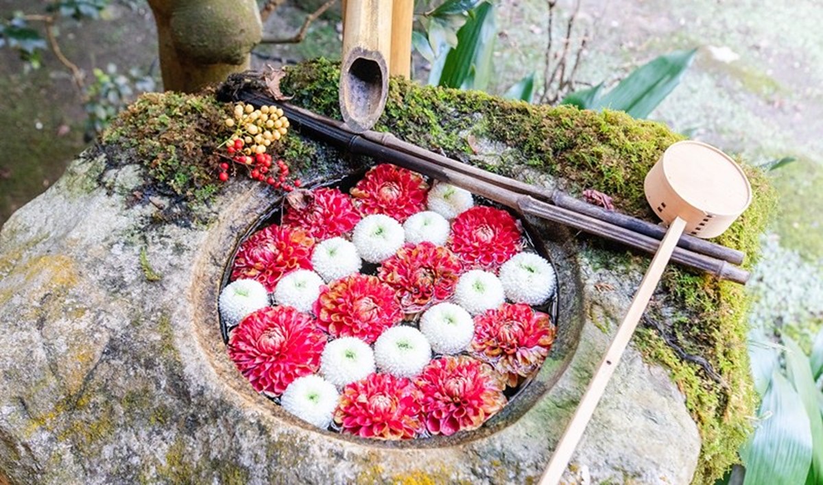 京都「繡球花寺」必朝聖！洗手池飄滿絢爛花球，還有５千株繡球讓你拍到飽