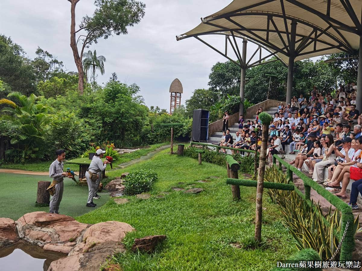 近距離餵長頸鹿、狐猴！親子必逛最強「開放式野生動物園」，還有動物表演秀