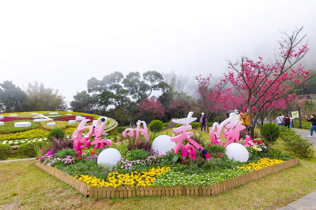 一年四季都有花！「2025陽明山花季」開花情報、賞花地圖，陽明山一日遊推薦