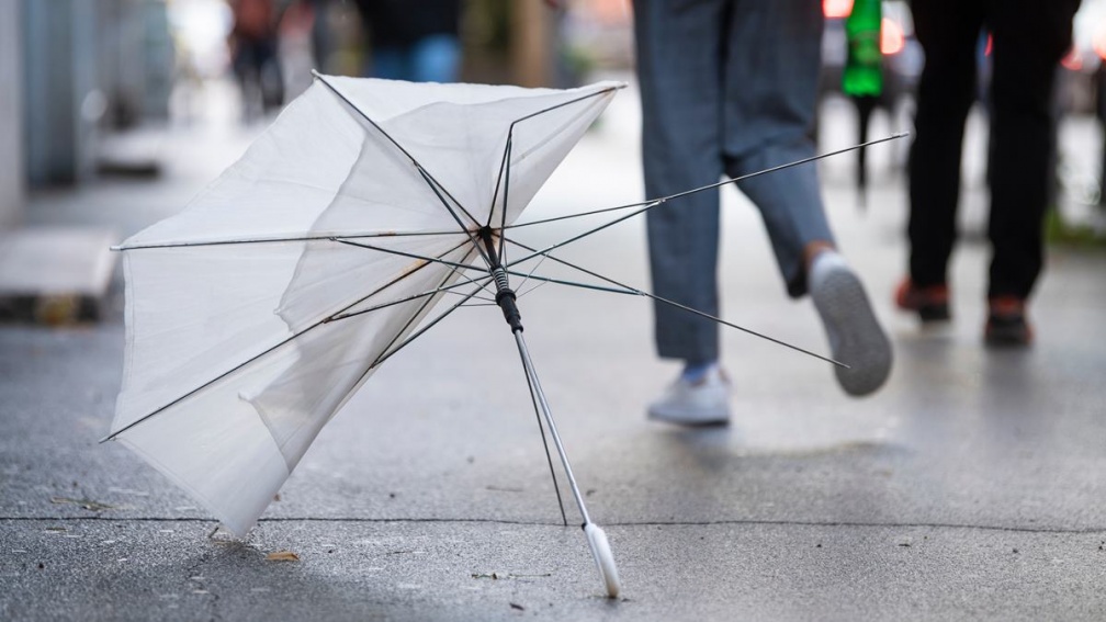 雨衣可以丟垃圾車嗎？雨傘是垃圾還是回收？環保局給答案：丟錯開罰6000元